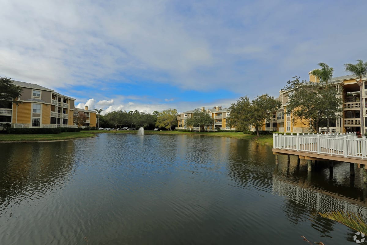 Apartments for Rent St Petersburg, FL Bridgewater Photos